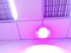 Amateur Live Porn of GabyBrowm
