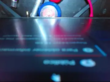Bongacams Best Webcam of BIGTITSEBONY