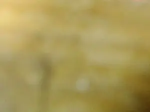 Cam4 Free Porn Cam of xLolakolaxxx