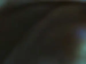 Cam4 Adult Webcams of pamelaruiizz_