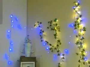 Cam4 Live Sex Cam of Little_Eva