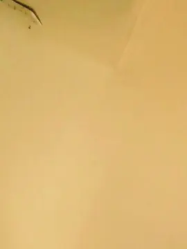 Cam4 Nude Webcam of margot30