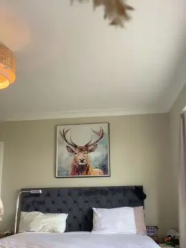 Cam4 Best live sex cam show of Anna_XOX