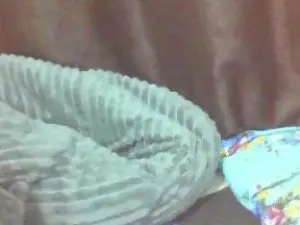 Cam4 Live Sex of cutie_pie_hot