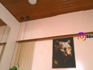 Cam4 Free Live Porn of virtual_charm