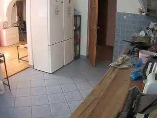 Camsoda Adult Webcams of voyeurcam-julmodels-kitchen