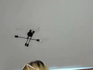 Camsoda Live Sex Cam of valerie-woods