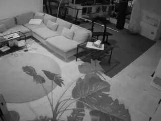 Camsoda Sex Chat of voyeurcam-julmodels-living-2
