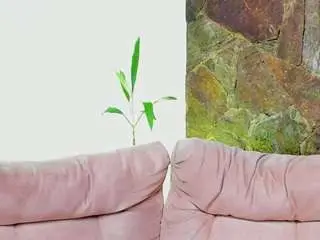 Camsoda Live Sex of april-reed