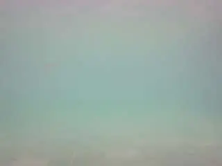 Camsoda Sex Chat of voyeurcam-casa-salsa-pool-1