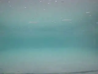 Camsoda Watch Live Sex Cams of voyeurcam-casa-salsa-pool-1