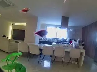 Camsoda Free Porn Cam of voyeurcam-casa-salsa-fishtank