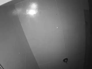 Camsoda Best live sex cam show of voyeurcam-casa-salsa-bathroom-10