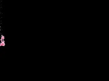 Chaturbate Adult Webcam of emmagerhauser