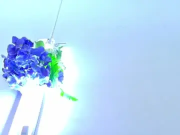 Chaturbate Free Live Porn of emmawuilian