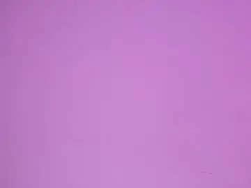Chaturbate Live Sex of anais_delorme