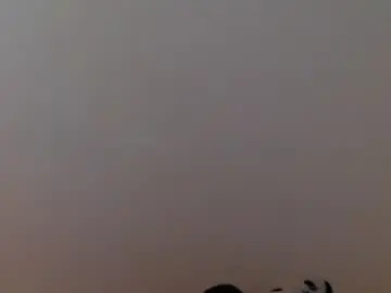 Chaturbate Sex Chat of meg4nmiau