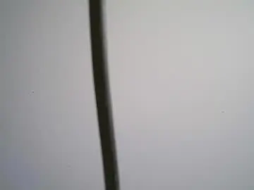 Chaturbate Free Live Porn of black_tentationx