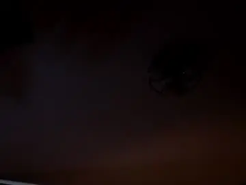 Chaturbate Live Sex of bridgetbottrell