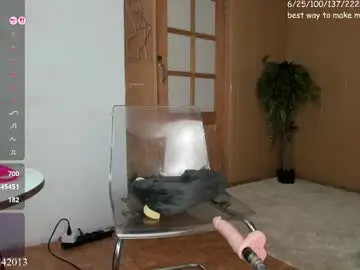 Chaturbate Best live sex cam show of gohaaard420