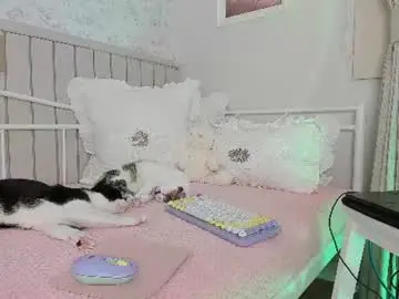 Chaturbate Adult Webcam of kitty__sophie