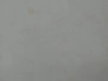 Chaturbate Adult Webcam of amaia_baez