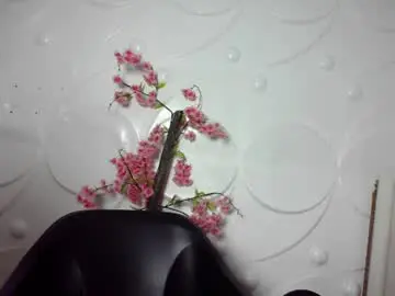Chaturbate Live Sex Cam of ebonykissxx