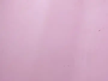 Chaturbate Live Sex of mia_tailor_bms
