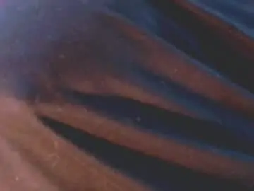 Chaturbate Free Live Porn of seeyou2morrow