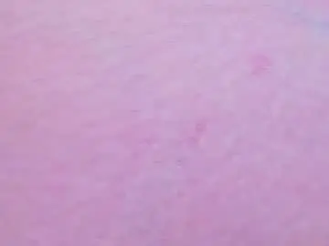 Chaturbate Sex Cam of evasinclairr