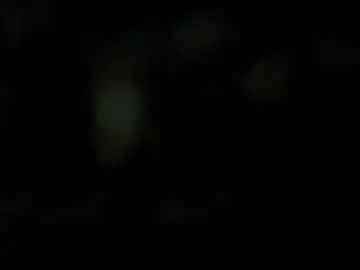 Chaturbate Sex Chat of salomeswet