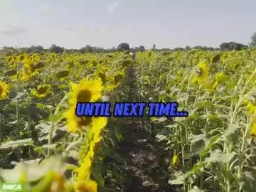 Chaturbate Adult Webcams of sunflower0907