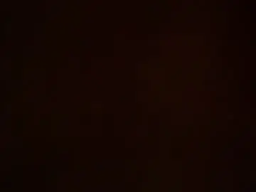 Chaturbate Free Porn Cam of erixed