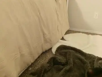 Chaturbate Sex Chat of elisparadisex