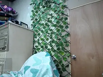 Stripchat Sex Cam of Dreams_sophi