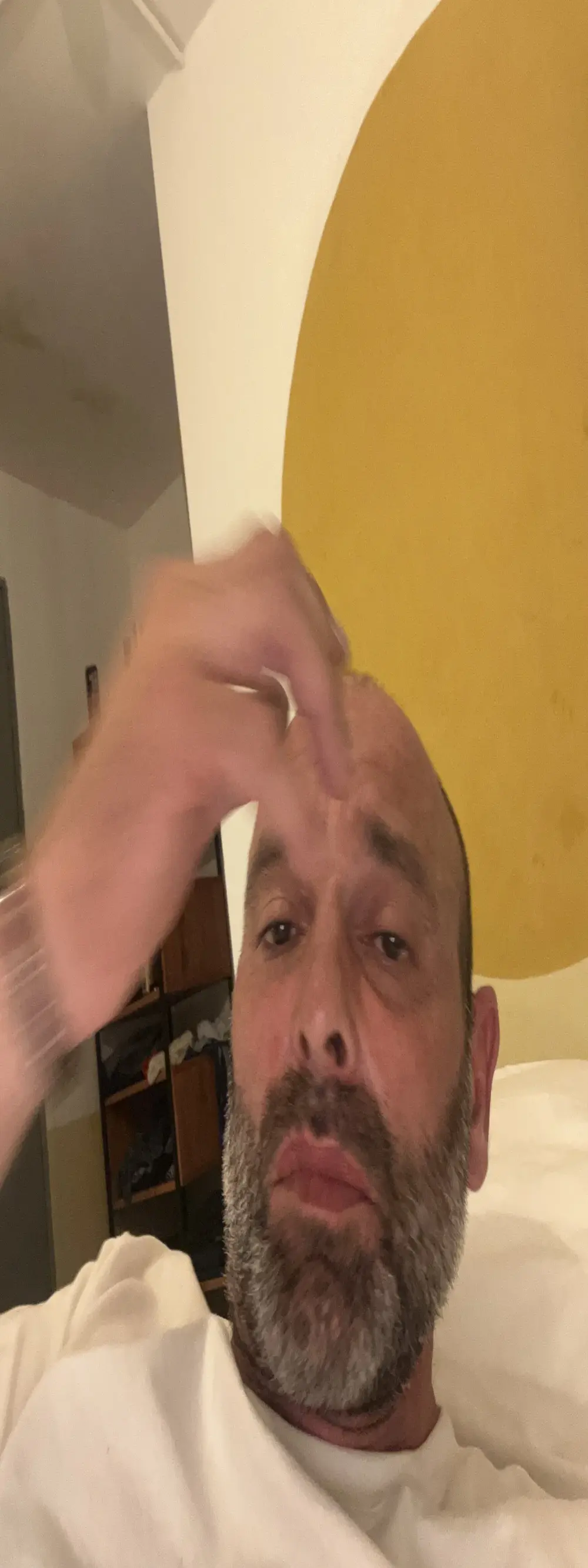 tapesexxx