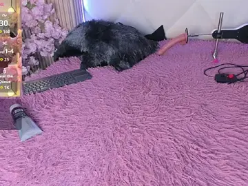 Stripchat Live Porn of veronica_hill_