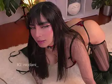 Stripchat Sex Chat of nicdani_1