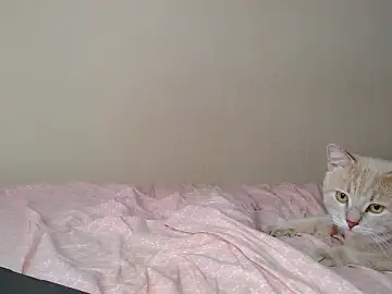 Stripchat Best live sex cam show of Just_alice