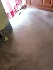 Stripchat Best live sex cam show of Lakhsmi