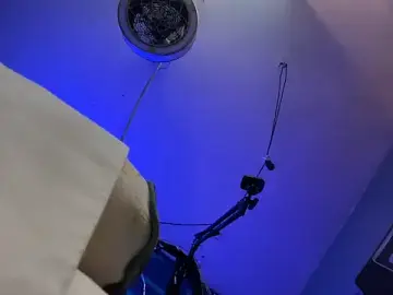 Stripchat Live Sex Cam of ctguybj