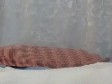 Stripchat Live Sex Cam of Bunnyxx01
