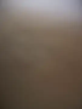 Stripchat Adult Webcam of sammyqueenx21