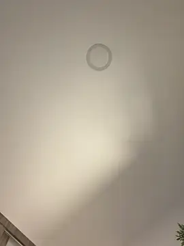 Stripchat Free Porn Cam of Aryrosee