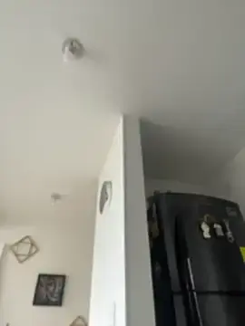 Stripchat Sex Cam of Ameellie